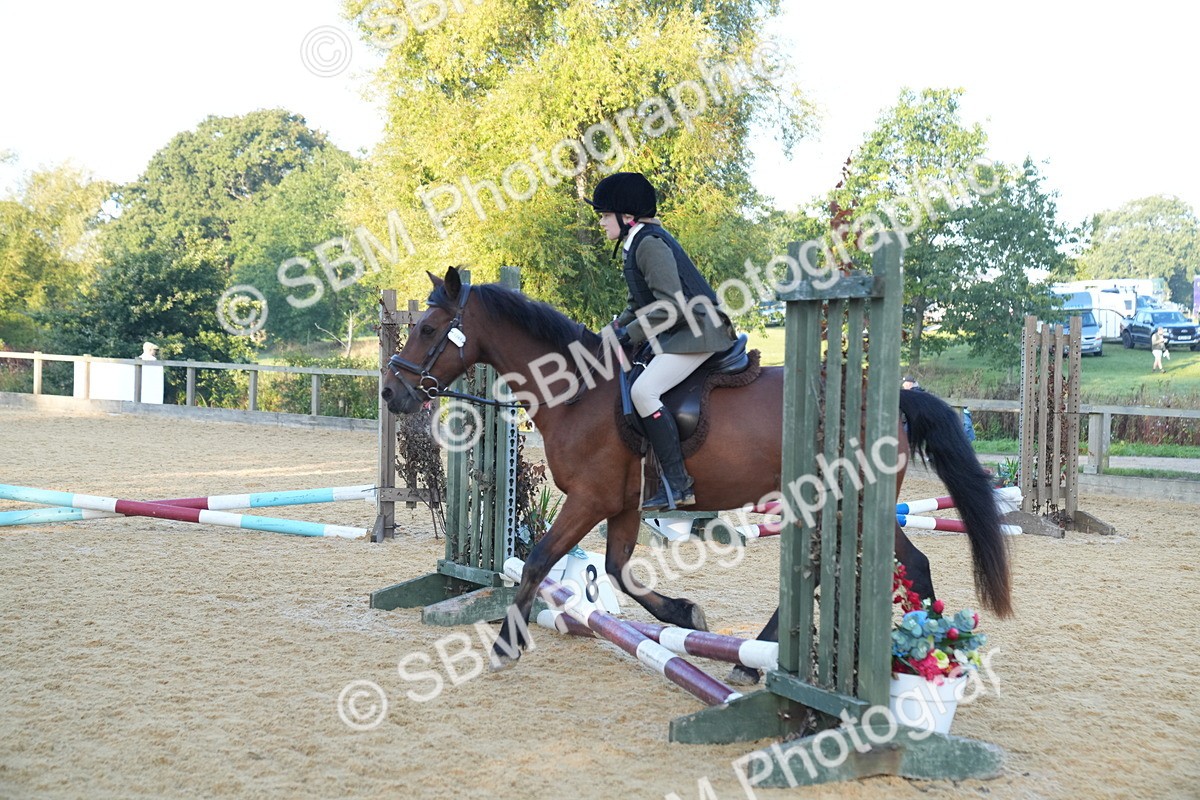 SBM_58875 - J63 - Minis Clear Round 30cm 40cm