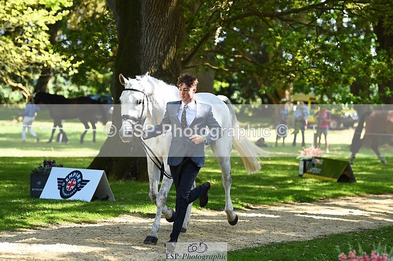 230524-152252-00232 - 313-LOUISBOURG_C-Jack_Whiteford-WEDTrotUp+DR