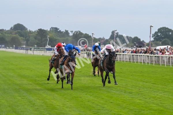 220825-Race 2-Trawlerman-7040 - Race 2 2.25pm Weatherbys Lonsdale Cup Stakes