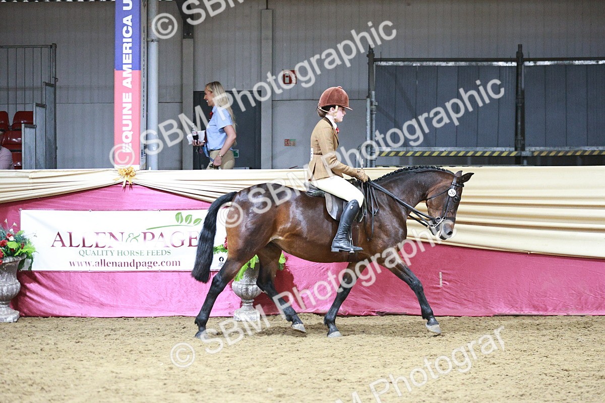 SBM_08035 - Class 11R - Regional Ridden Veteran