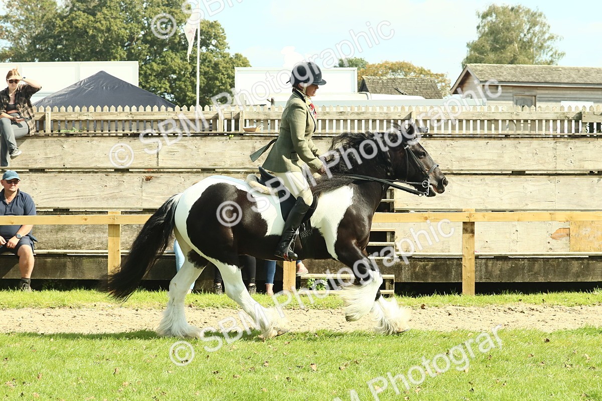 SBM_67584 - S56 - Coloured Pony Ridden