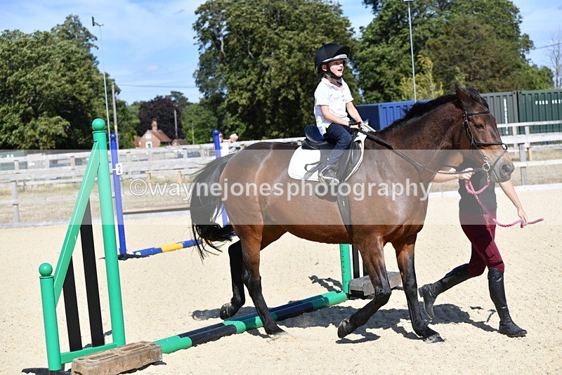 WJ5_5191 - Poles on the Floor