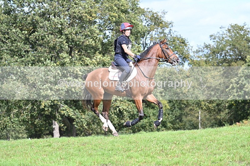 WJ7_2005 - Time 13:17 to 13:53