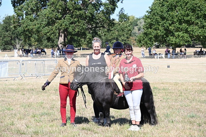 WJ6_8124 - Class 36 Lead Rein