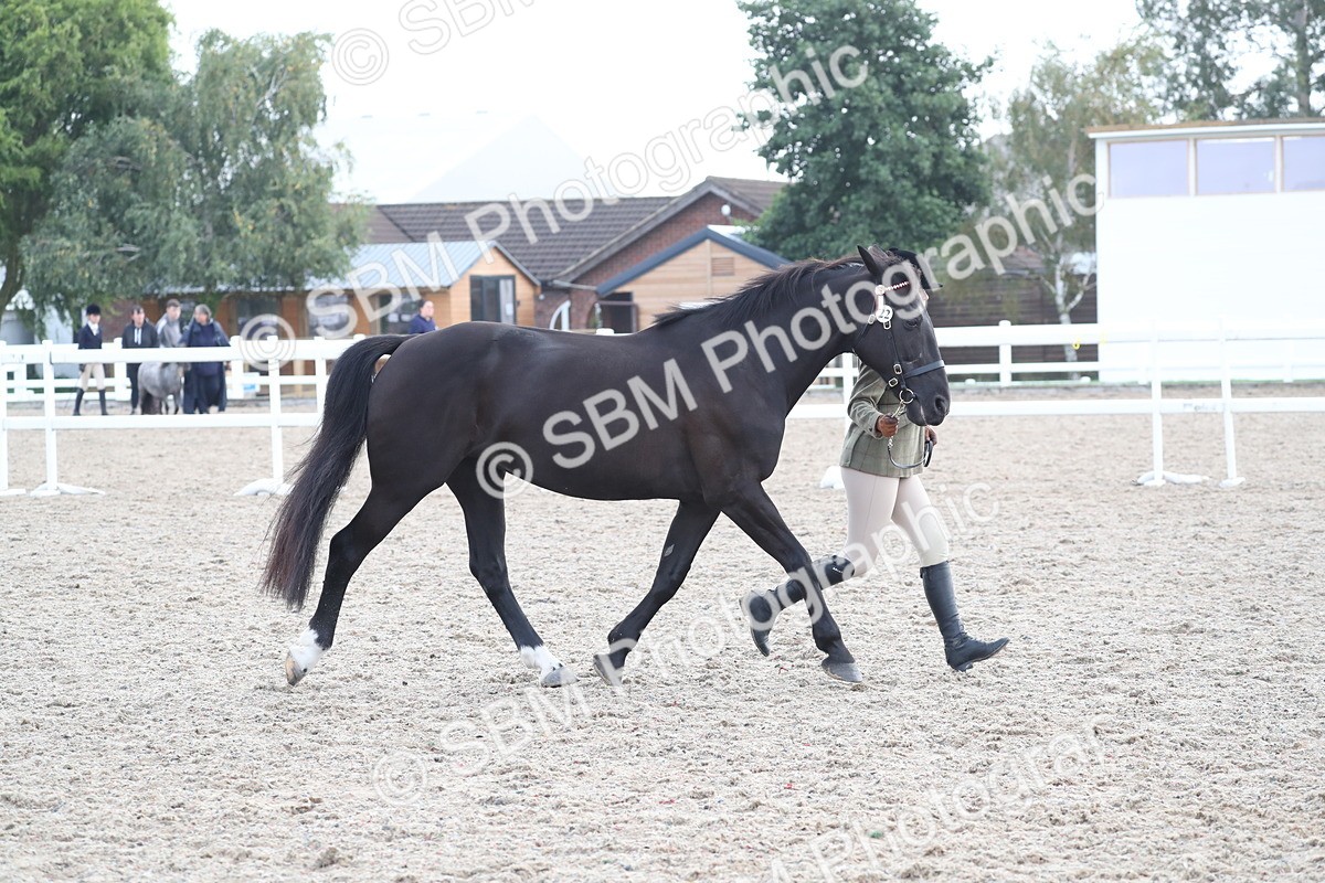 SBM_23142 - Class 605 - 2025 Area - IH Veteran