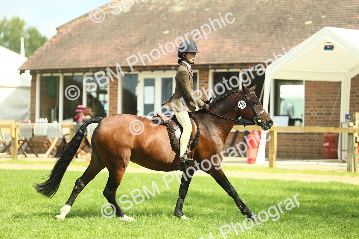 SBM_44582 - S31 - Working Hunter Pony