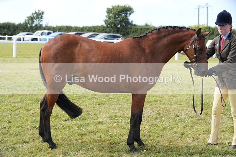 DSC07444 - Class 70: NPS SHP 4 years and over