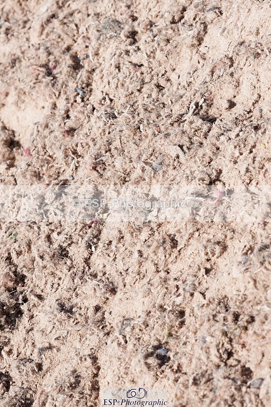 250503-140100-01195 - Cls 27 Stepping Stones