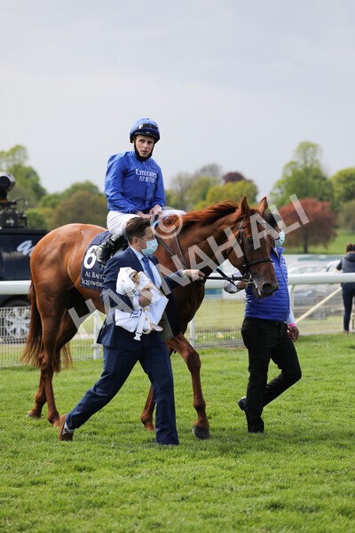 yr13052021r4-53 - Race 4 3.10pm Al Basti Equiworld Dubai Dante Stakes