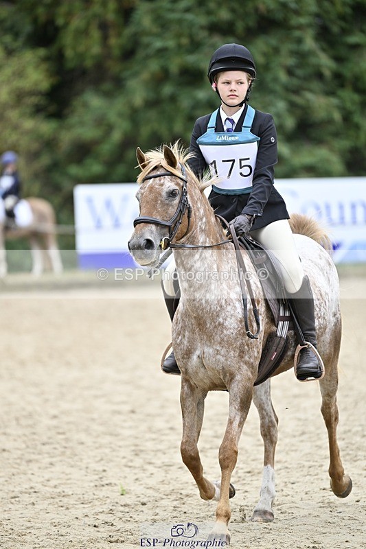 250820A-113357-03705 - Round 1, 11am to End