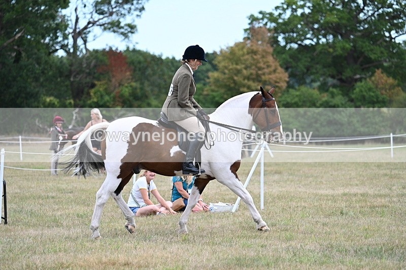 WJ7_4909 - Class 12 Ridden Cob