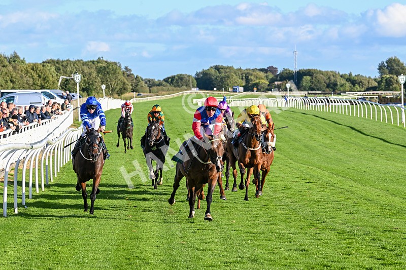 100924-Race 7-Desert Dream-0696 - Race 7