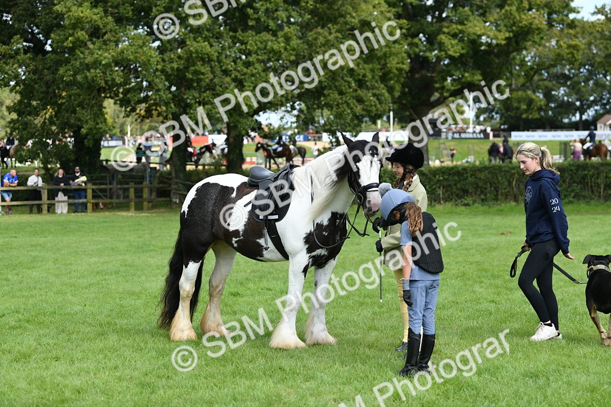 SBM_46952 - S12 - Family Horse & Pony
