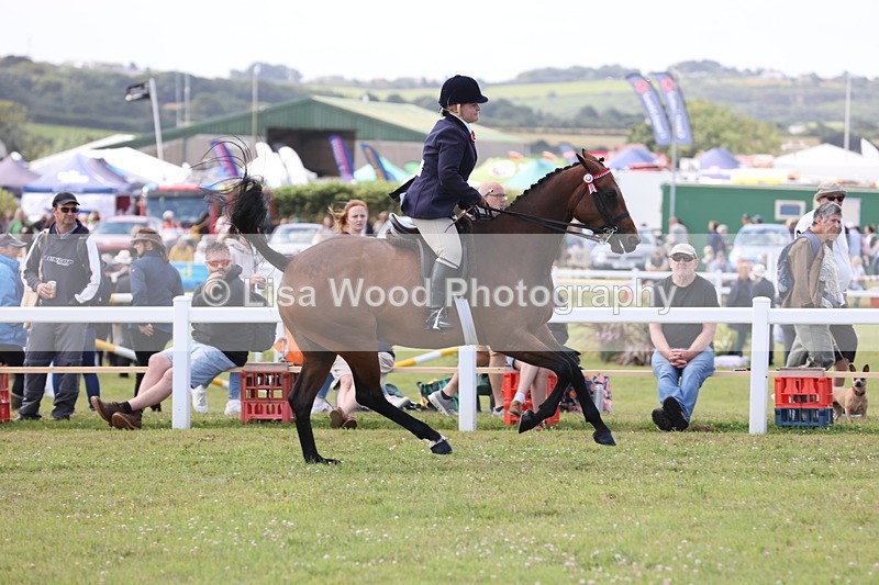 JPP_1373 - Class 17: Cornish Combination Open