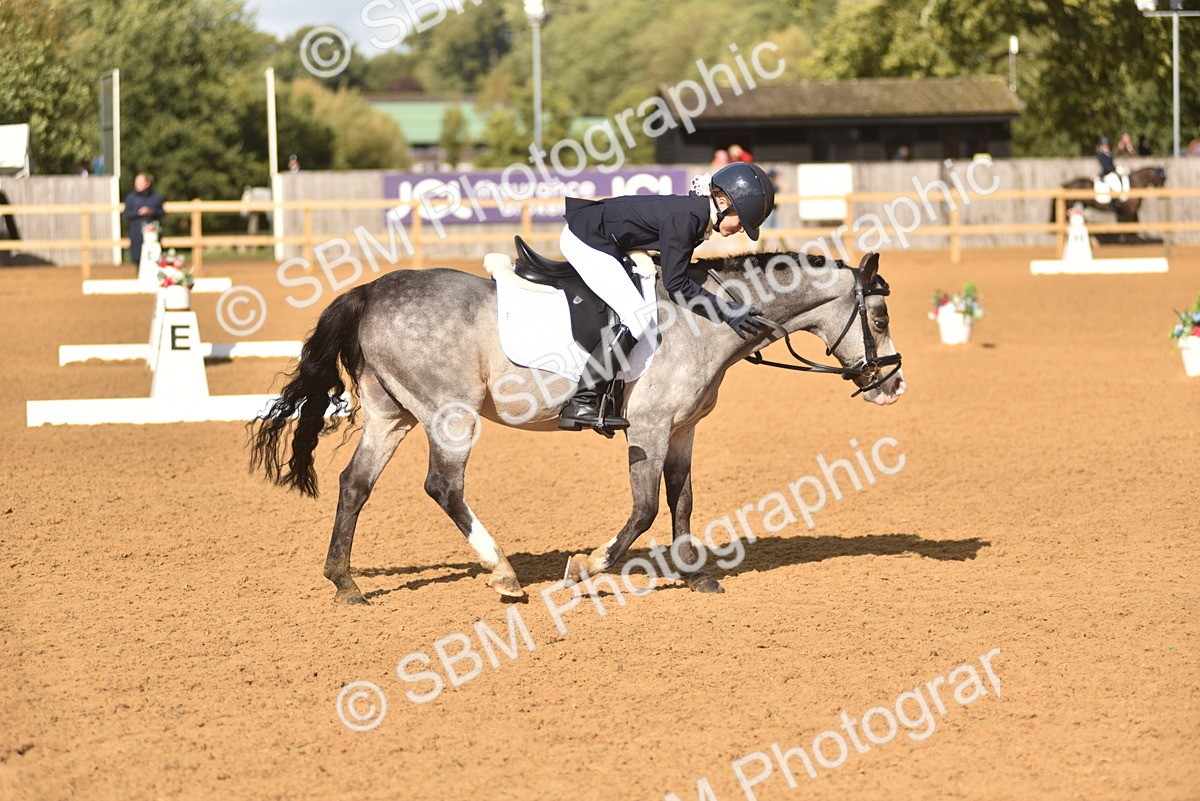 SBM_48827 - D22 - Junior Championship Intro 3