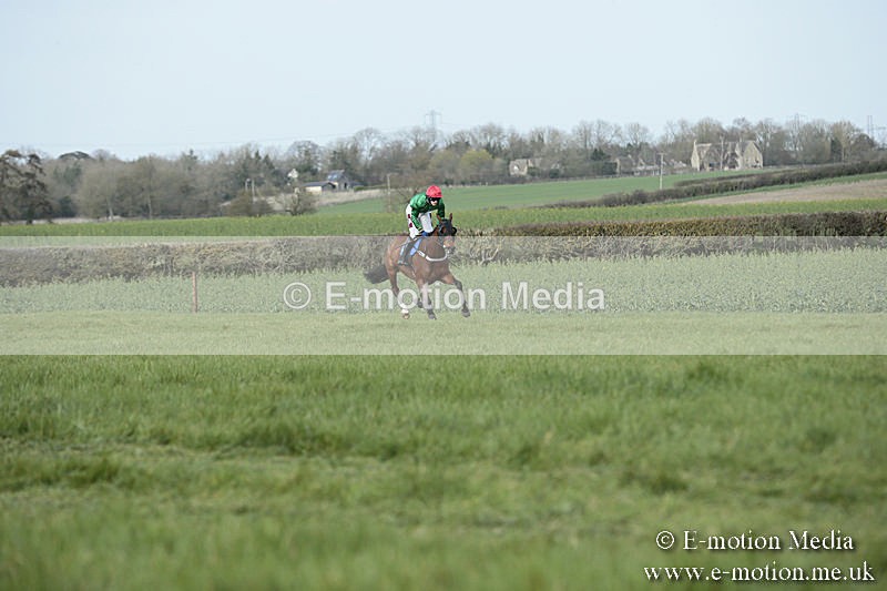 PtP 230319 358 - VWH Hunt Siddington Point-to-Point Racing 23/03/19