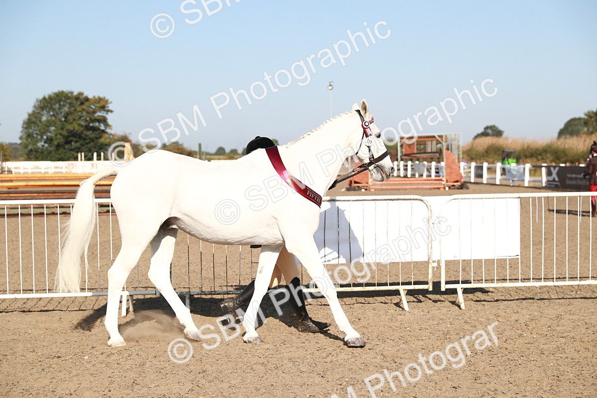 SBM_00183 - Class 40 Best Turned Out IH