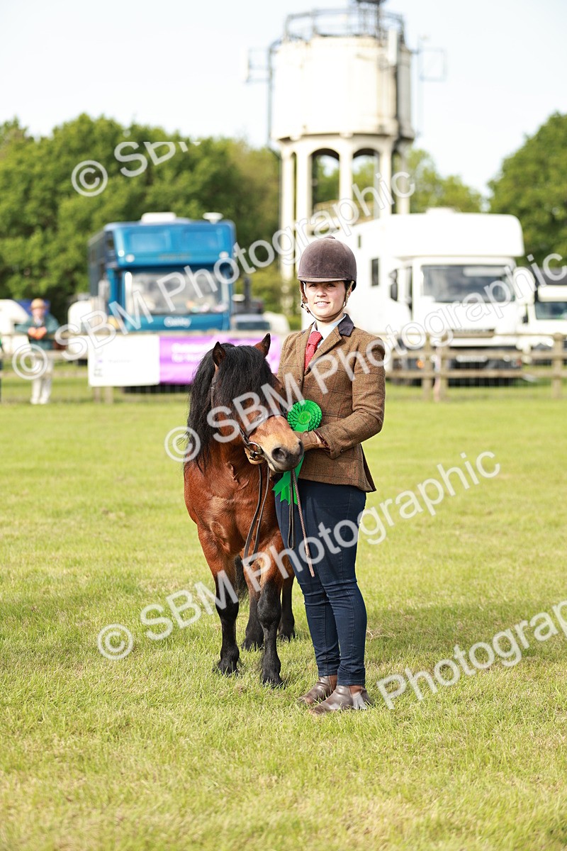 SBM_00558 - Class 14-23 - Mountain & Moorland In Hand Non Welsh
