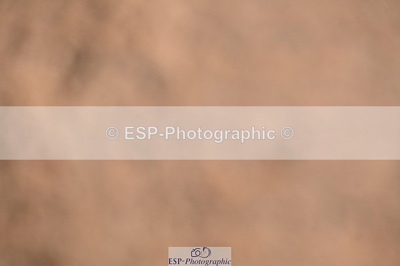 250912-140842-04765 - Cls 19 Area Trial