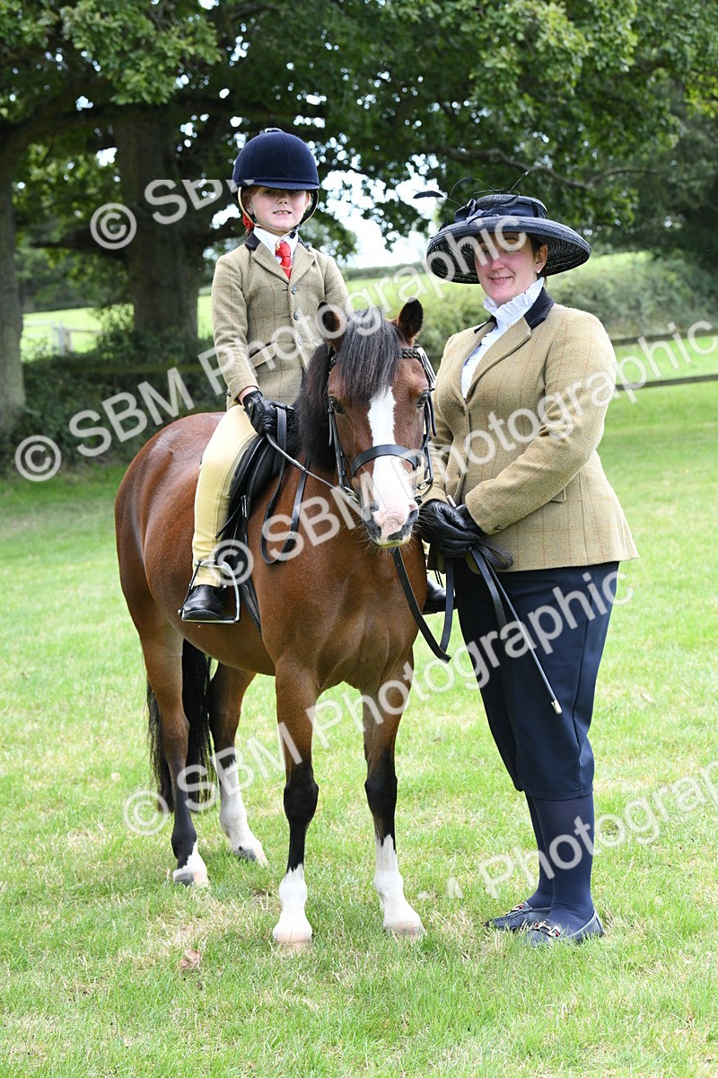 SBM_42554 - S20 - Lead Rein Mountain & Moorland Pony