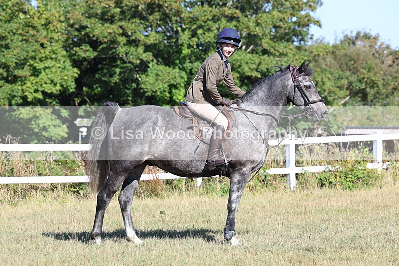 3E7A5533 - Class 3: Working Hunter 70cm