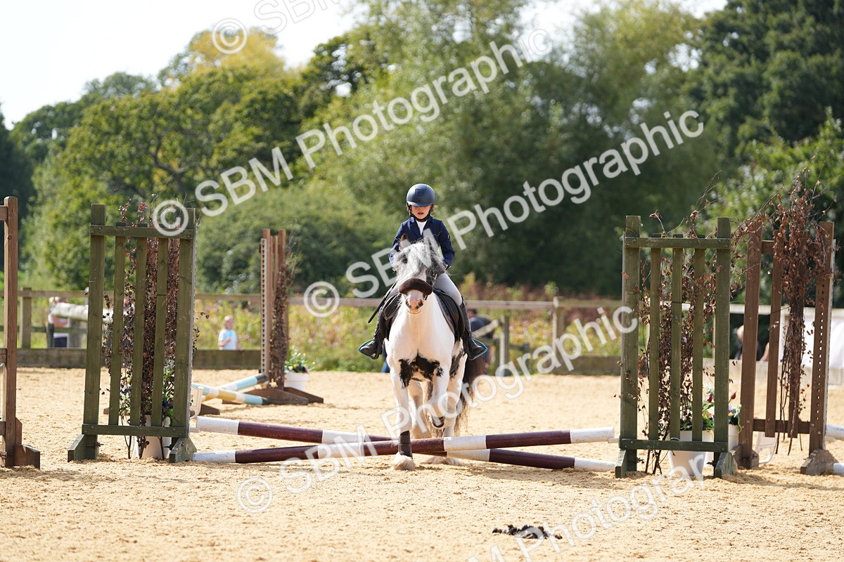 SBM_65822 - J2 - Mini Tour Junior Pony 30cm Championship