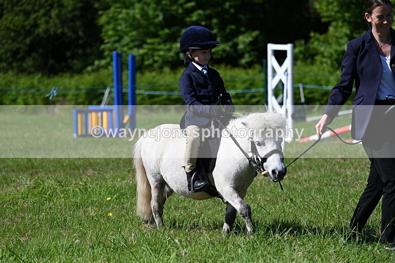 WJ7_0560 - Class 8 First Rally Pony