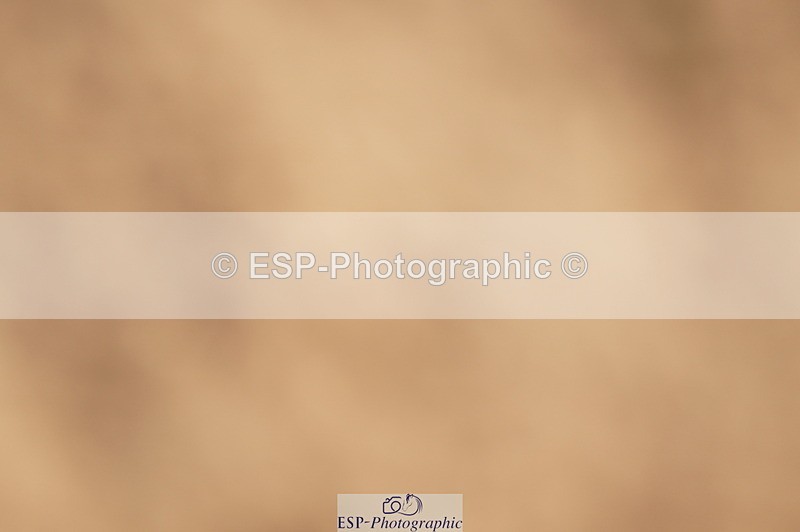 240317A-121010-05863 - Cls 26 National 1.30m Open