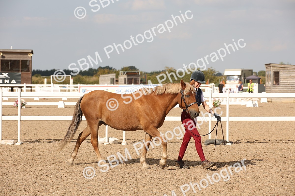 SBM_08121 - Class 27 - IH Competition Horse-Pony