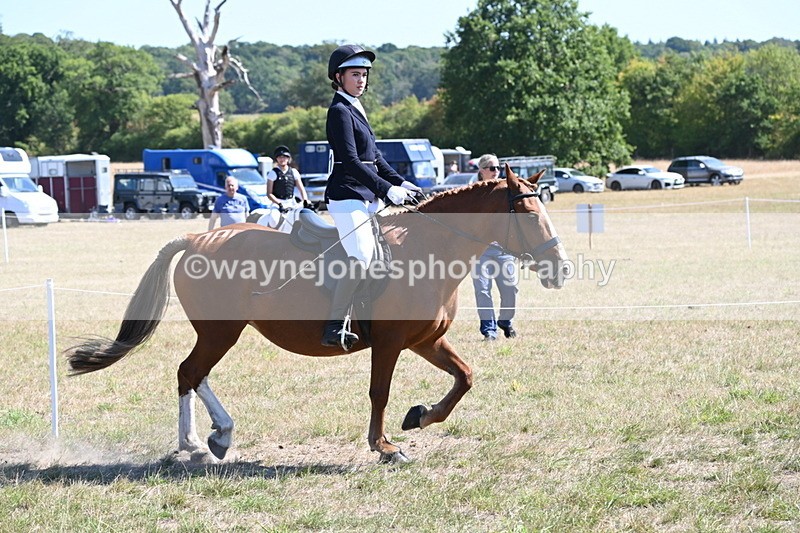 WJ6_8347 - Class 37a Best Loan Pony Ridden