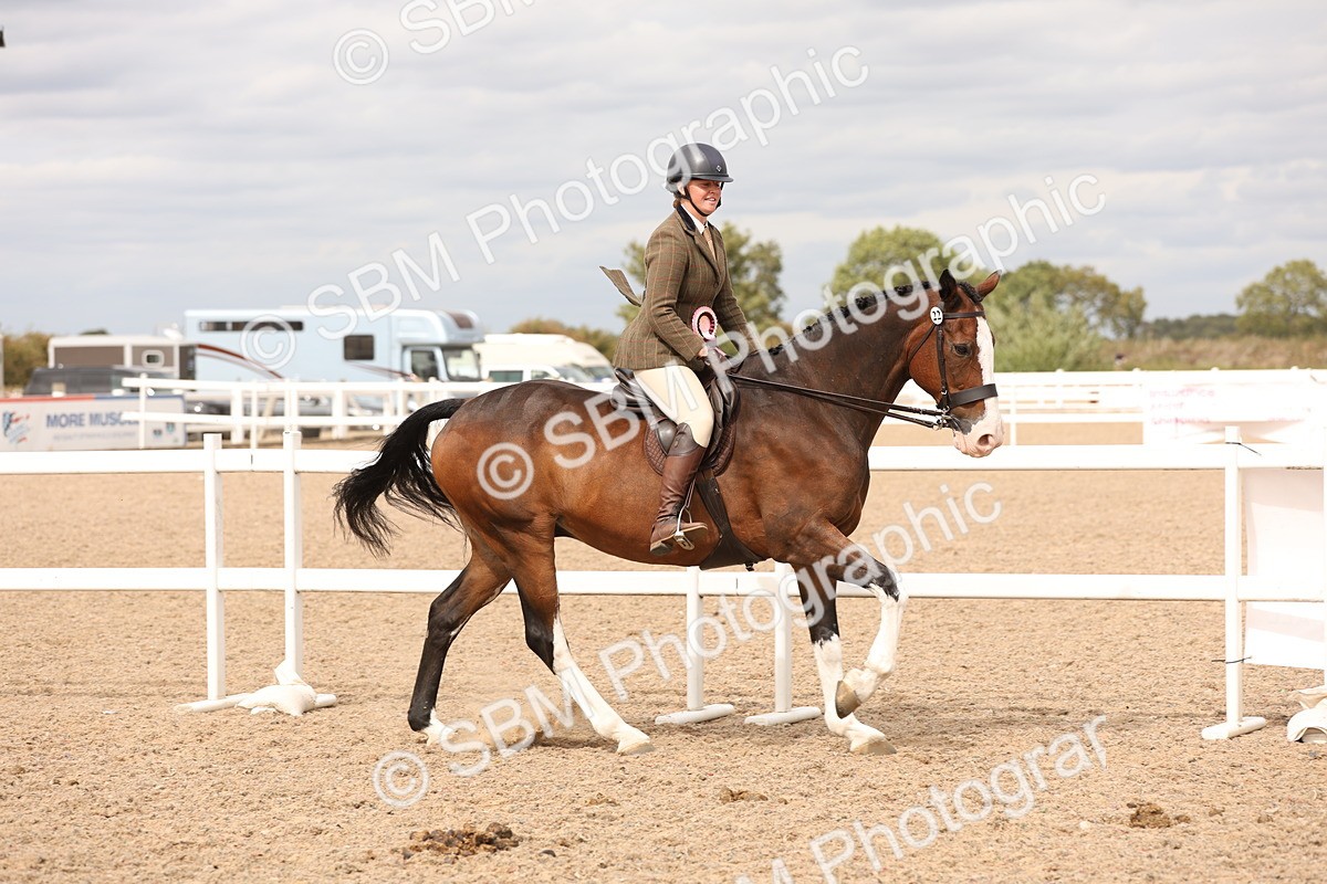 SBM_17292 - Class 213 - Ridden Hunter - Large