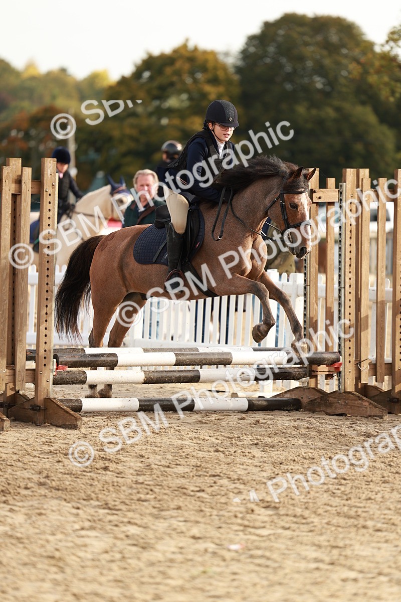SBM_55645 - J11 - Junior Pony 50cm Championship