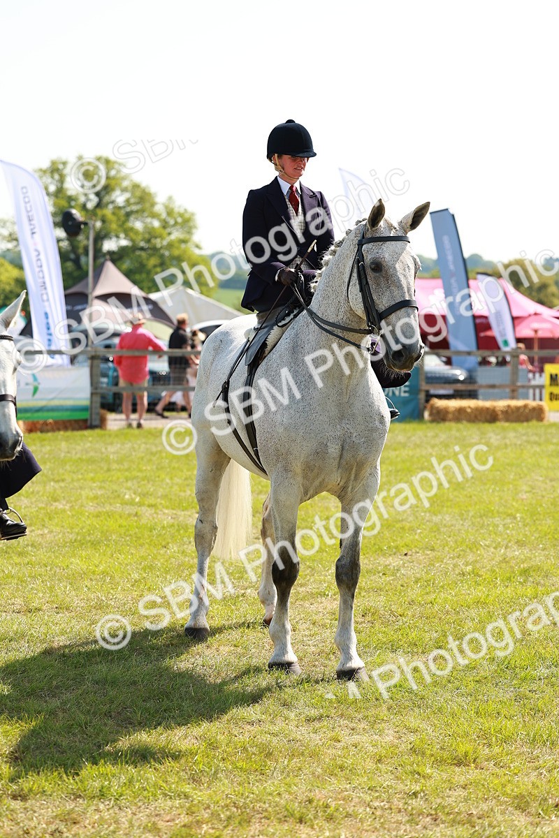SBM_13239 - Class 70-71 - Side Saddle