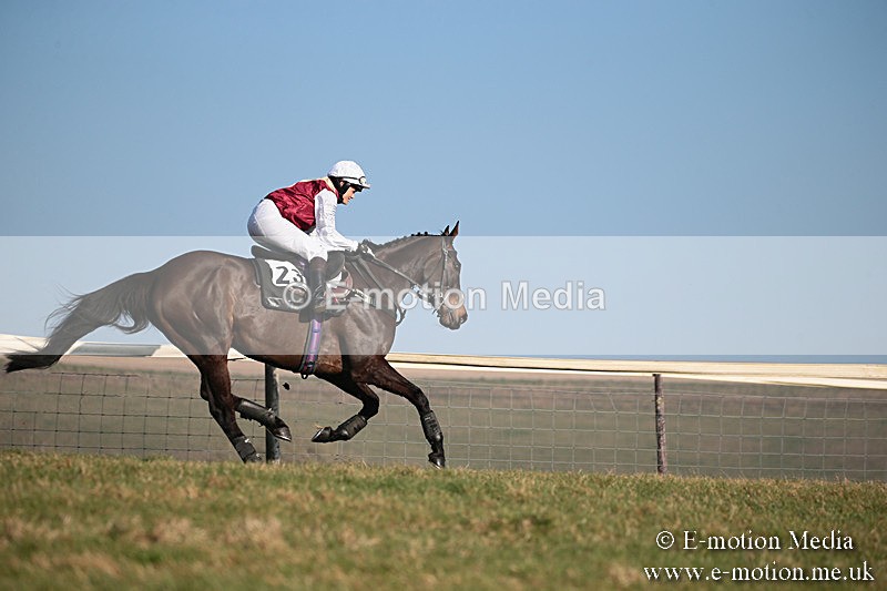 PtP 230219 400 - Vine & Craven Point-To-Point - Barbury 23/02/19