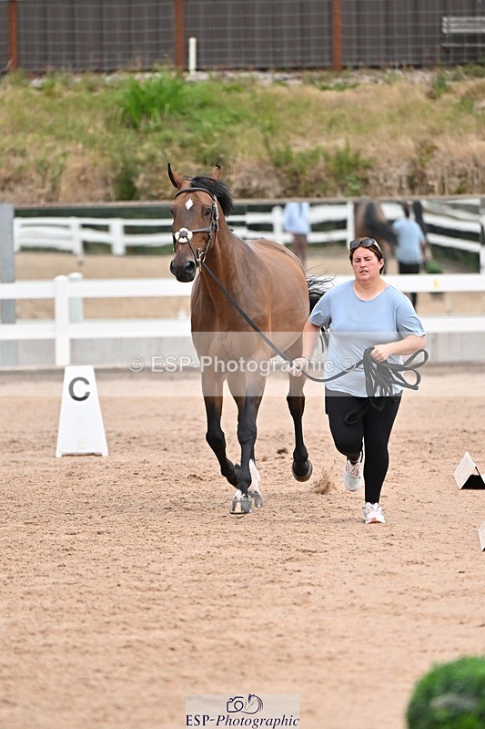 250716-135751-00816 - Trot Up 1.30 to 2.30