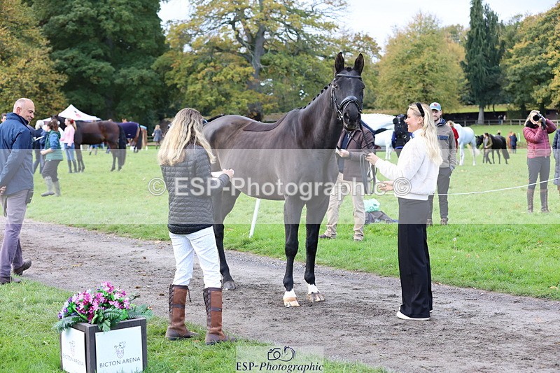 251026A-103435-23112 - E-393-Saskia.Rioux