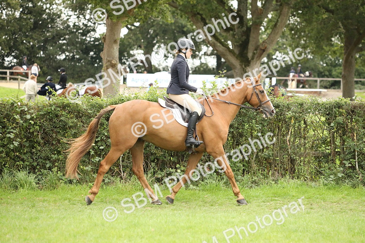 SBM_73675 - S41 - Ridden Equitation (Best Rider)
