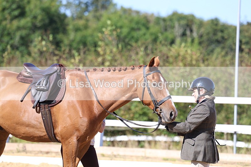 3E7A5599 - Class 9: Open Ridden Hunter