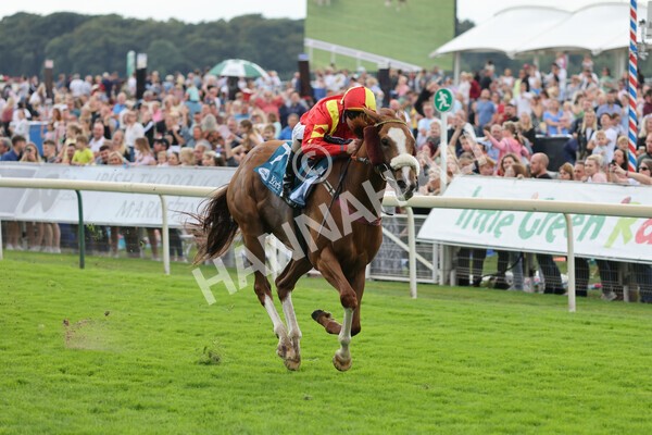 yr04092022r3-20 - Race 3 2.55pm The Elevator Company Garrowby Stakes