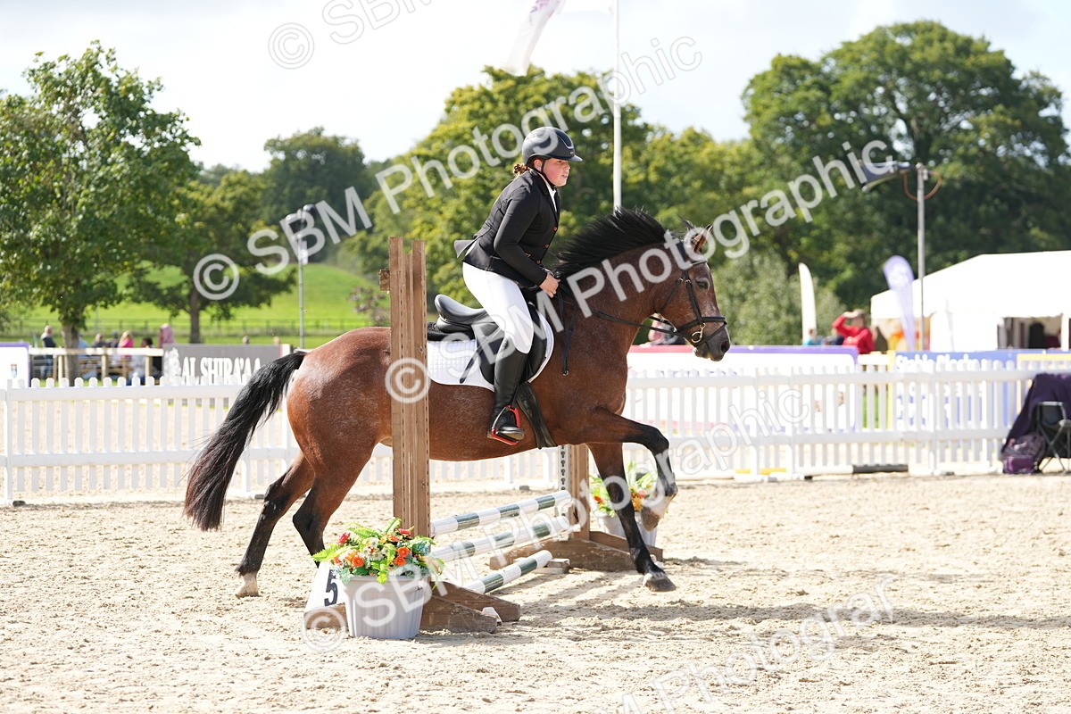 SBM_17762 - J58 - Clear Round 50cm