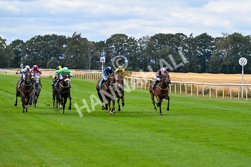 070826-Race 1-Drish Samphire-1328 - Race 1 14.10pm goracing.co.uk Future Stars Apprentice Classified Stakes
