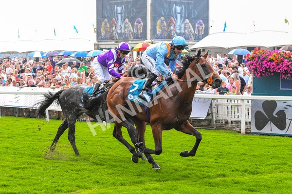 100923-Race 1-The Coffee Pod-0399 - Race 1 1.40pm Ire Incentive, It Pays To Buy Irish EBF Novice Stakes