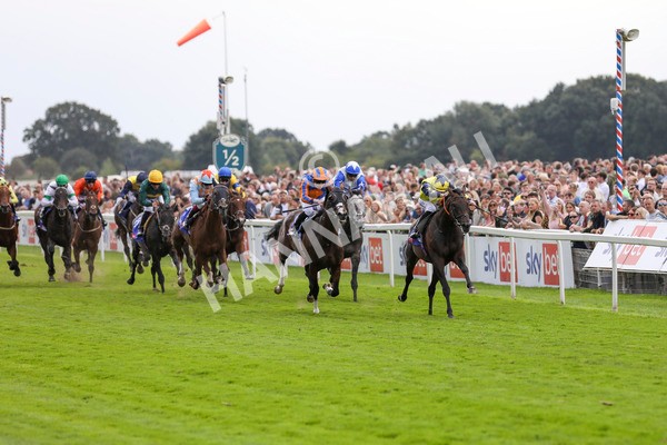 240824-Race 2-Tabletalk-8930 - Race 2 2.25pm Sky Bet Melrose Handicap