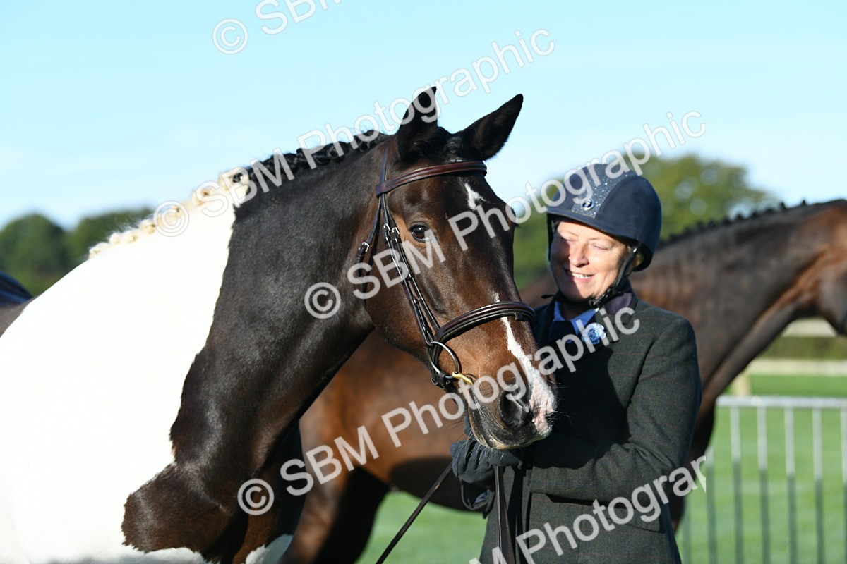 SBM_32789 - S15 - Condition & Turnout In Hand