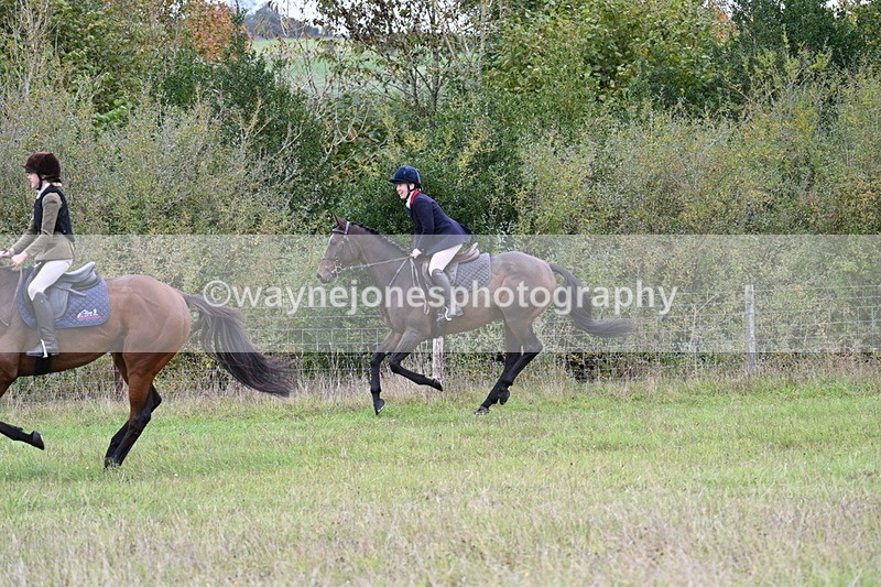 WJ7_3992 - Camera 1 Line 1