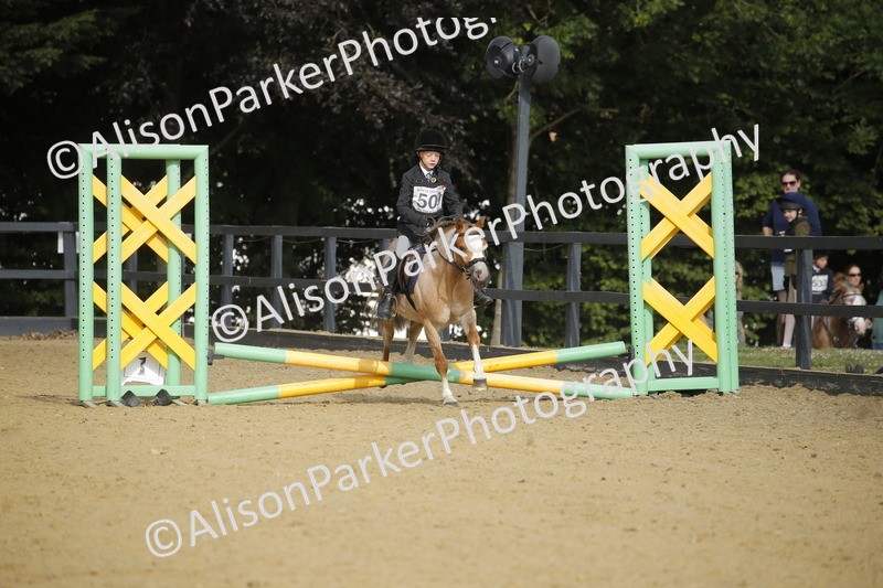 20250622-1238 - 40cm