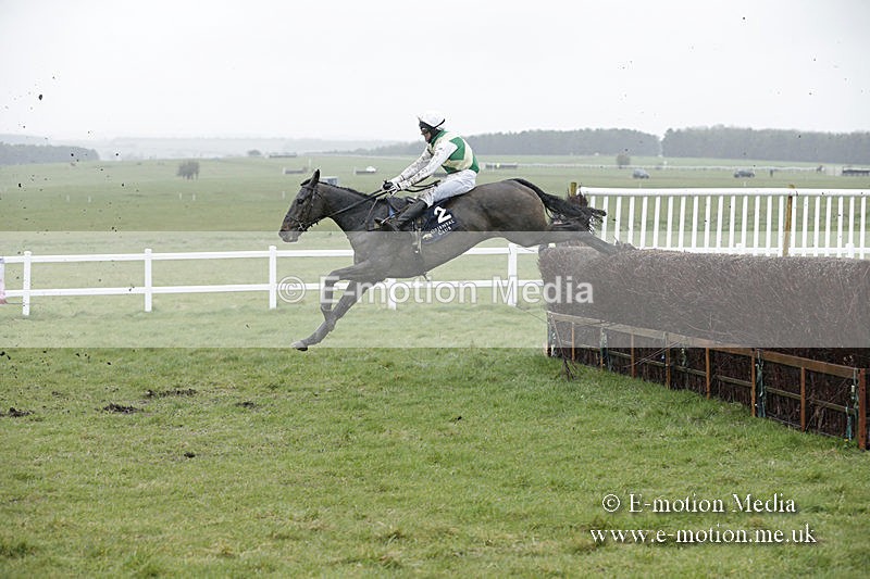 PtP 150320 0179 - New Forest Point-to-Point Larkhill 15/03/20