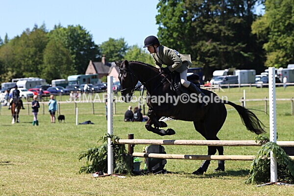 IMG_4133 - Working Hunter