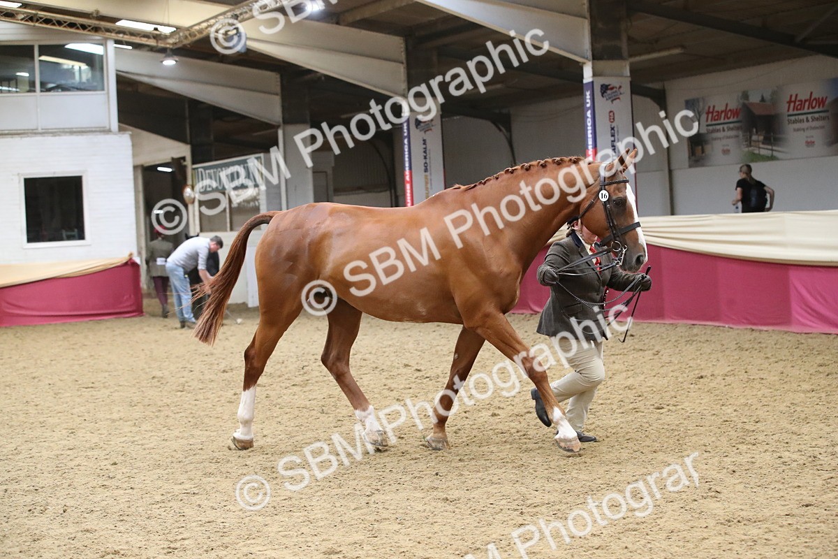 SBM_05827 - Class 9R - Regional IH Pre-Vet