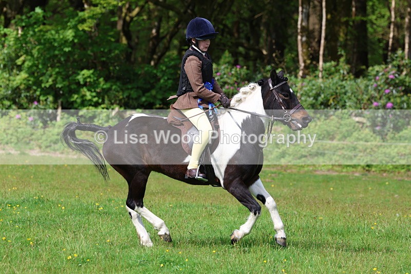 3E7A2648 - Working Hunter Championship